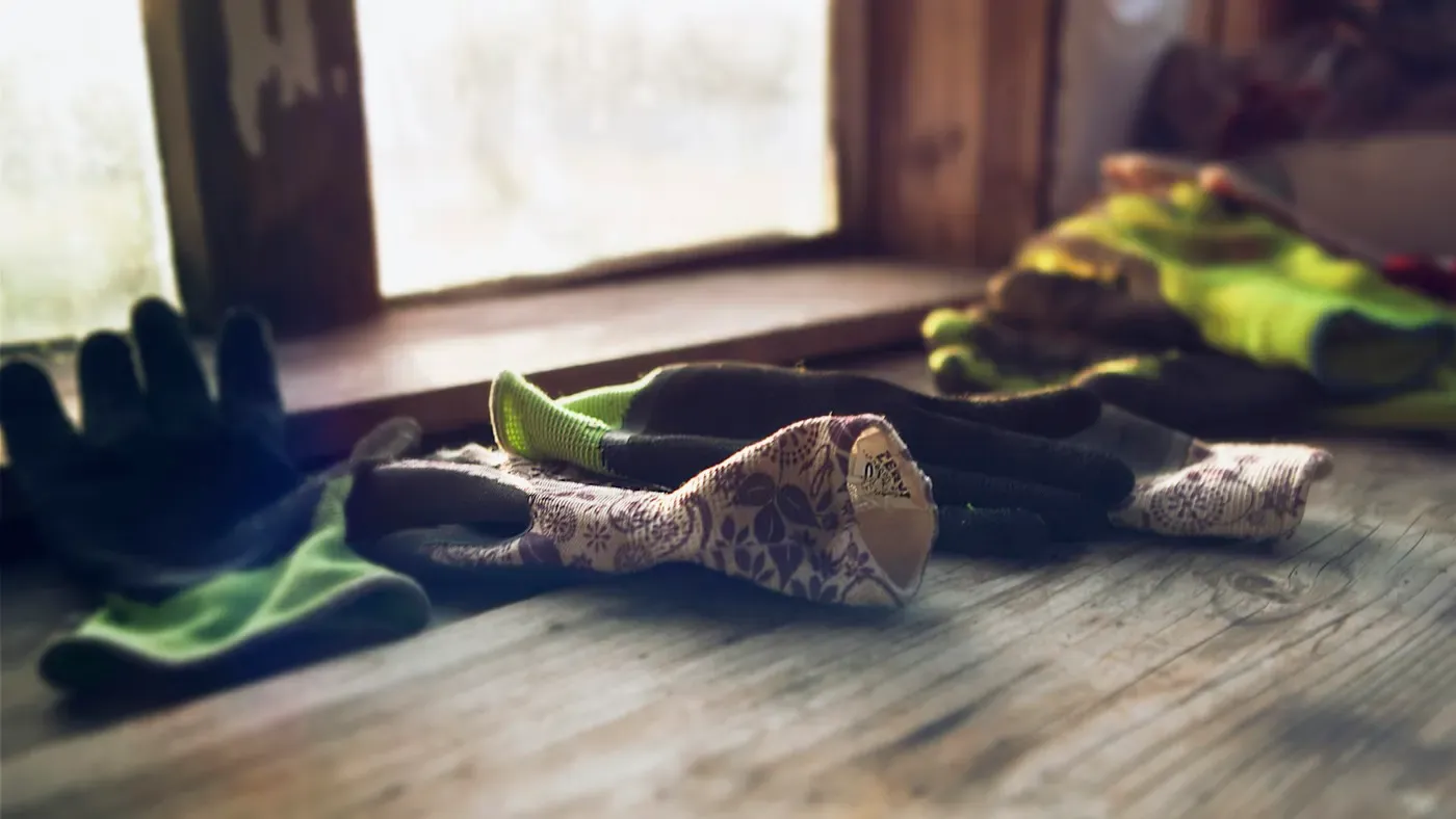 Luvas de limpeza coloridas apoiadas perto de uma janela de vidro